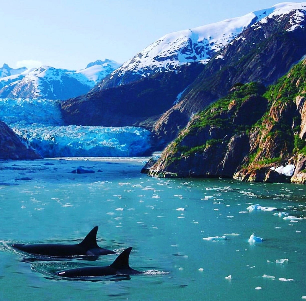 Alaska glacier waters