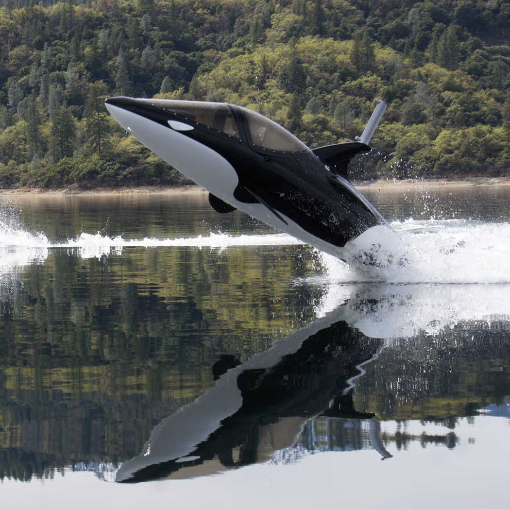 Seabreacher watercraft in action
